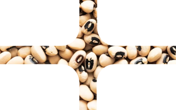 Suscripción regular con