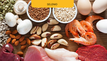 Selenio - un micronutriente clave para el buen funcionamiento del organismo