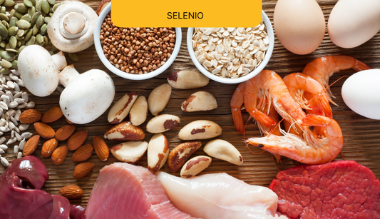 Selenio - un micronutriente clave para el buen funcionamiento del organismo