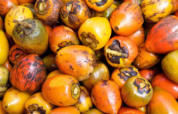 Tocotrienoles - los componentes menos conocidos de la vitamina E con beneficios únicos