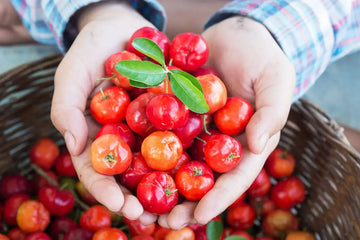 Acerola como fuente natural de la vitamina C