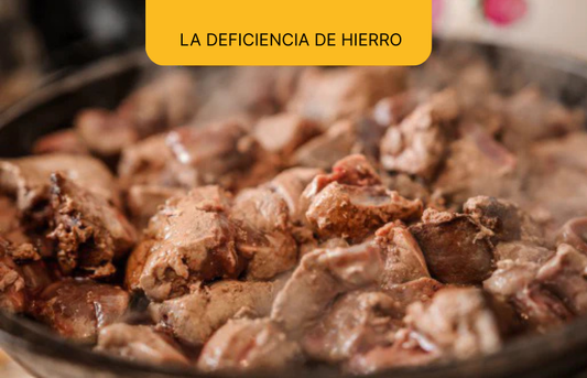 La deficiencia de hierro como uno de los déficits nutricionales más comunes