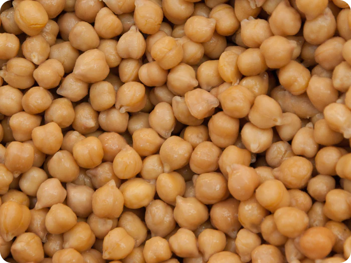 La vitamina K2 como producto de la fermentación natural