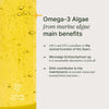 Algas omega 3