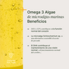 Omega 3 Algae