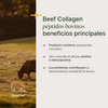 Hydrolyzed Beef Collagen