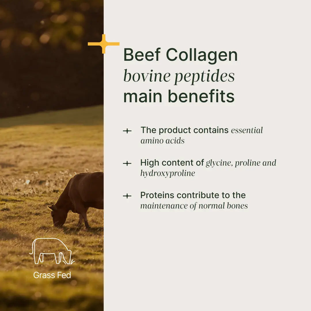 Hydrolyzed Beef Collagen I Colágeno bovino hidrolizado