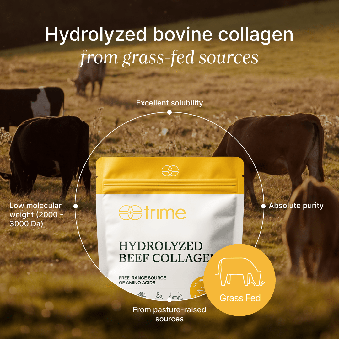 Hydrolyzed Beef Collagen I Colágeno bovino hidrolizado