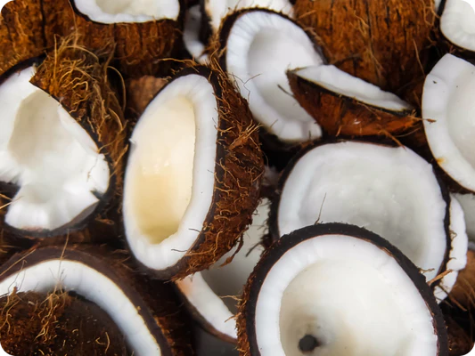 Aceite de coco MCT ecológico