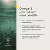 Daily F20 Complex y Omega 3 Cod Liver Oil - Pack de suplementos esenciales - paquete para 2 meses