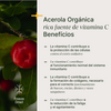 Organic Acerola